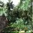 PalmWind